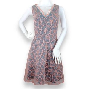 NWT Erin Fetherston Vanessa Pink & Navy Organza Embroidered Lace Dress Size 4